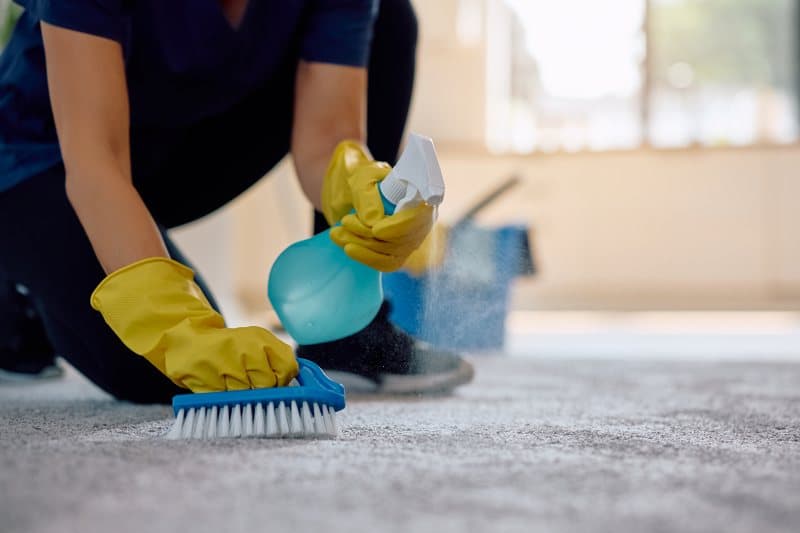 A person in yellow gloves is cleaning a carpet with a brush and spraying cleaning solution.