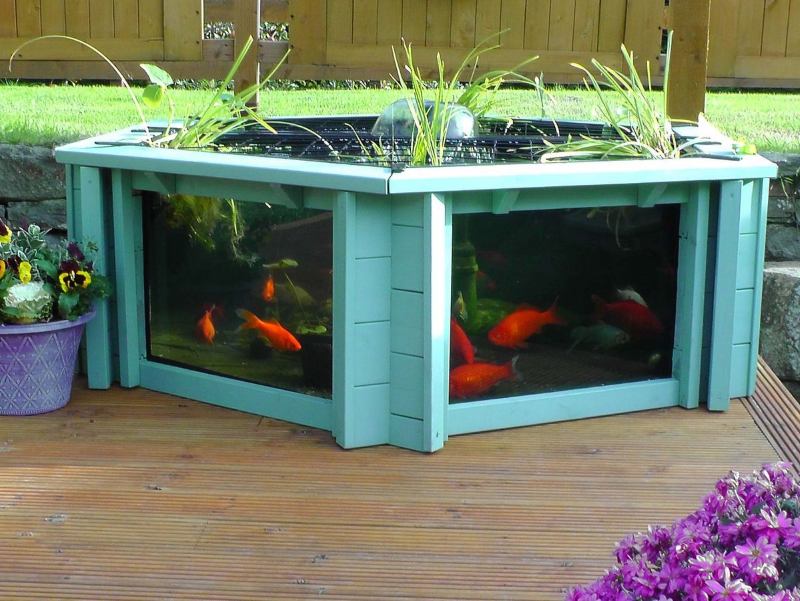 A modern pond with clear windows showing orange fish swimming inside, surrounded by decorative plants and a wooden deck.