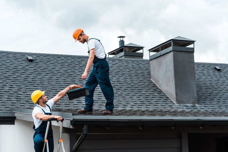 Two workers conducting a roof inspection; one hands a toolbox to the other while standing on a ladder near the roof.