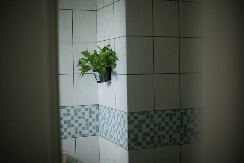 A small green plant in a black pot hanging on tiled bathroom wall, promoting Green Living through natural decor in indoor spaces.