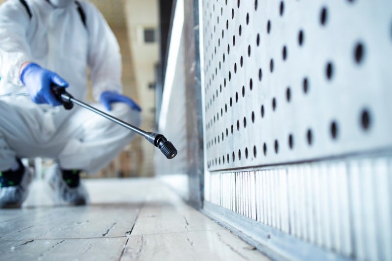 Person in protective suit applying pest control treatment along a building wall with a spray wand, ensuring safe indoor environment for kids and pets.