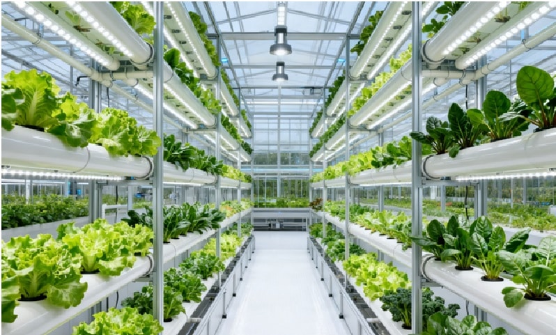 Hydroponic crops growing in stacked channels inside modern greenhouses with LED lighting and controlled environment.
