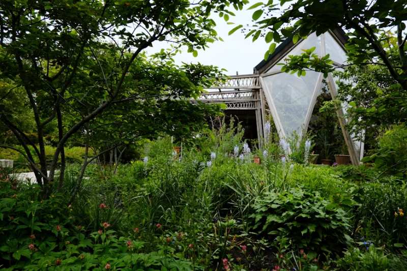 Modern garden shed with triangular glass panels, surrounded by lush greenery, tall plants, and trees, showcasing creative insulated shed designs.