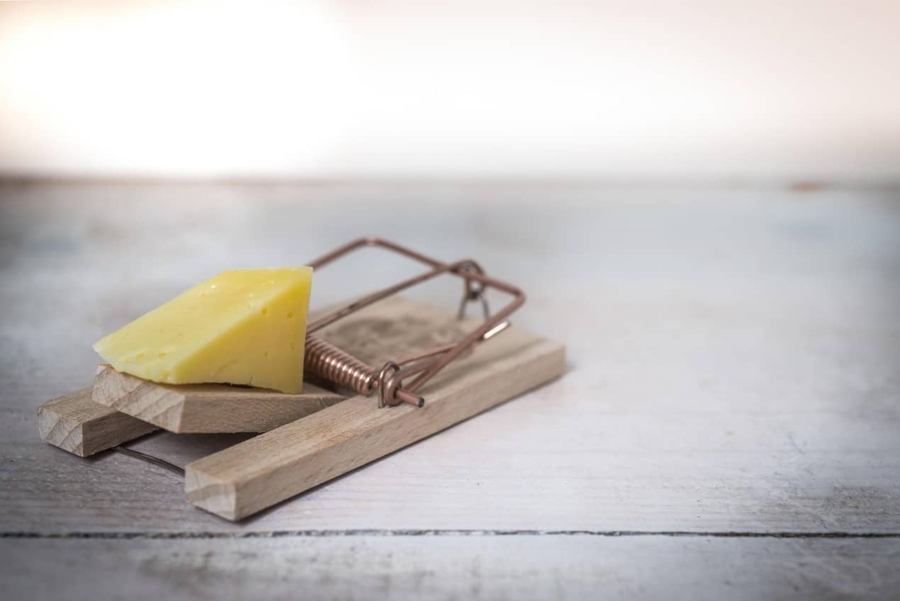 A close-up of a mousetrap with a piece of yellow cheese placed on it, symbolizing pest control and prevention methods. The setup represents a traditional approach to pest control.