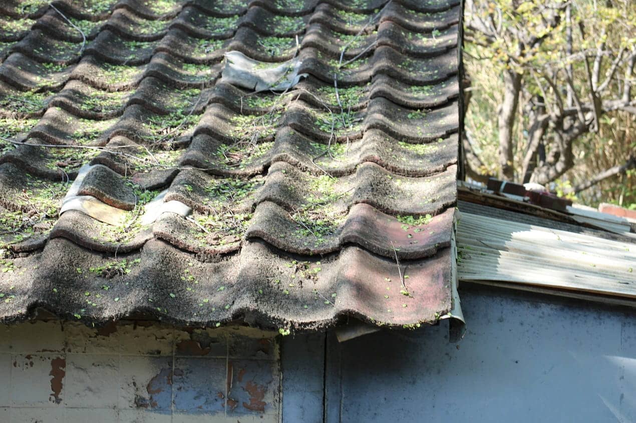 Aged roof tiles with moss and wear, similar to overlooked hail damage signs homeowners often miss